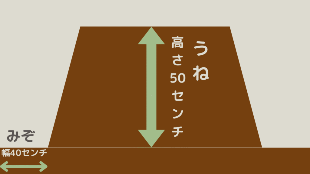 畝の高さを解説した図解
