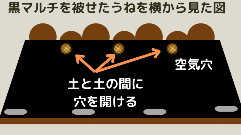 黒マルチに穴を開けて空気穴を作る解説図解
