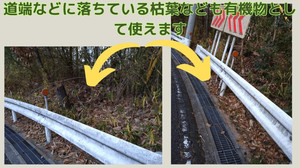 道路脇にみられる有機物の様子