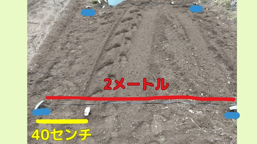 縦横2メートルのスペースを耕したあとの様子