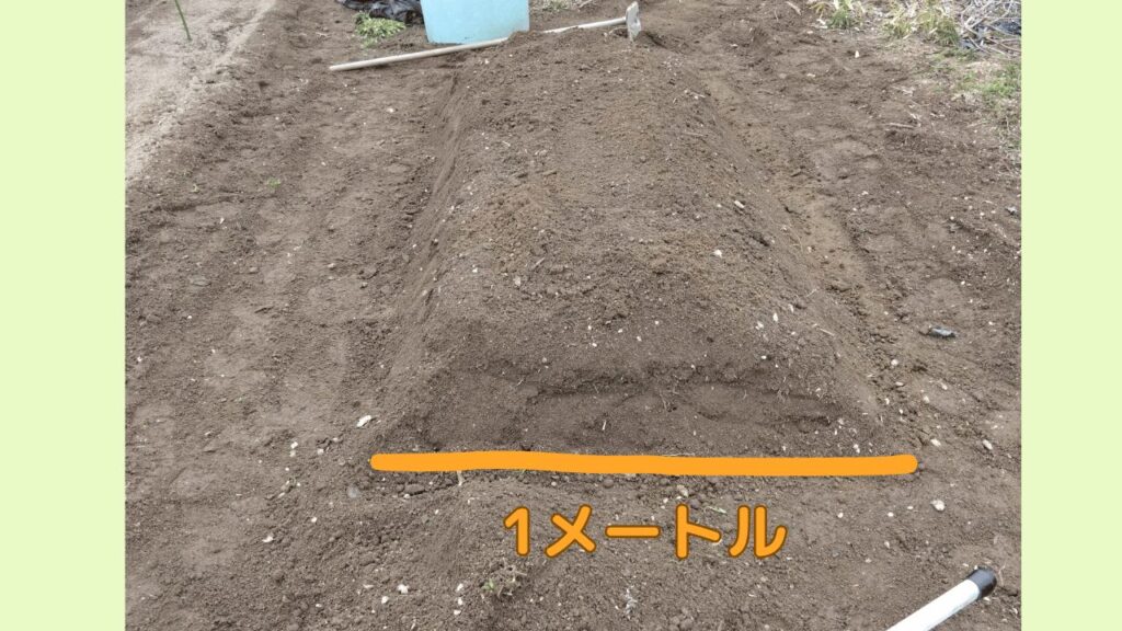 幅1メートルのうねを立てた様子