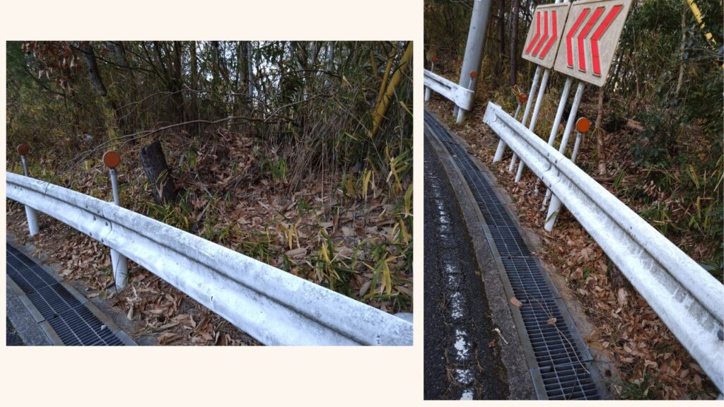 山道の道路脇にある有機物の様子