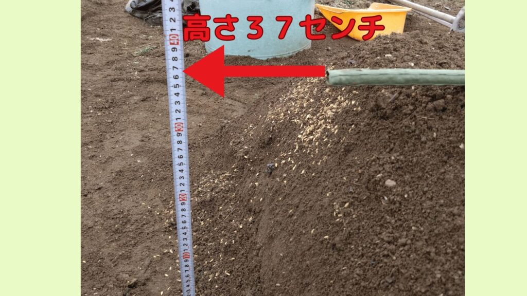 畝の高さを測った様子