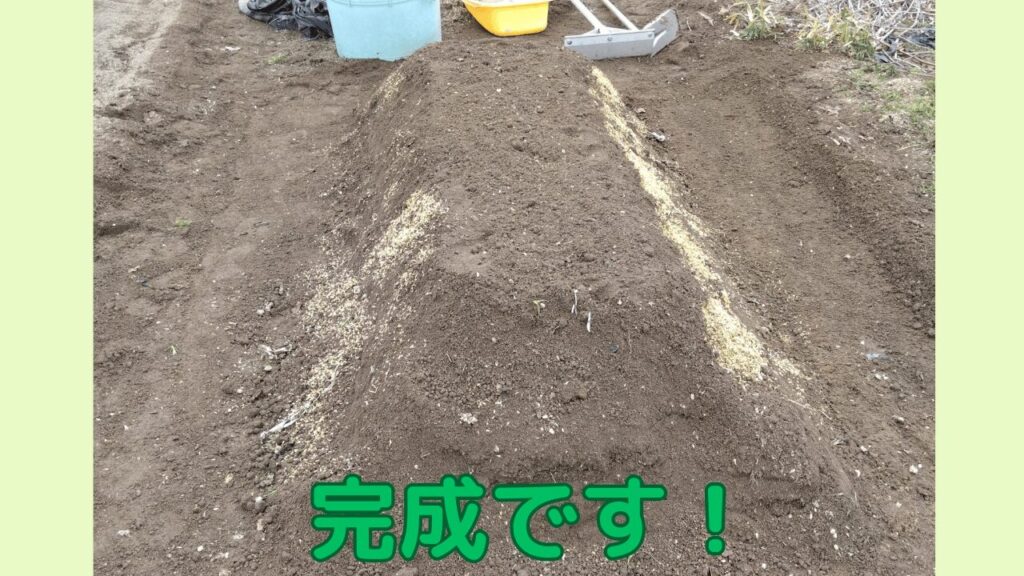 完成した畝の様子