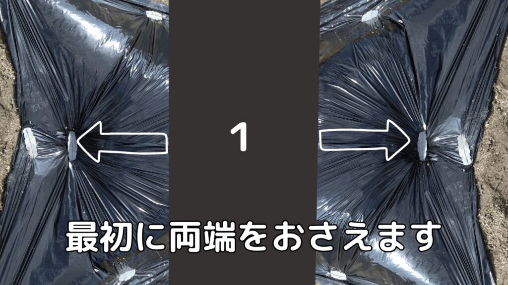 黒マルチ張り、最初に両端をマルチ抑えで押さえた様子