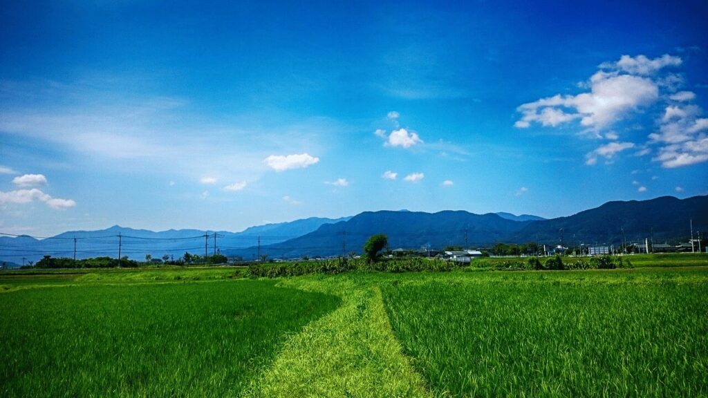 田んぼの風景写真